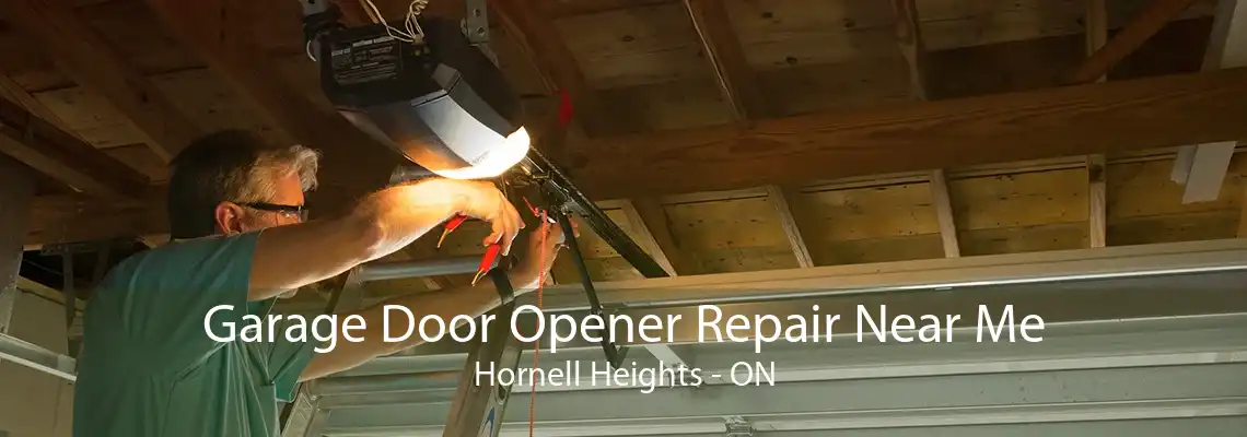 Garage Door Opener Repair Near Me Hornell Heights - ON