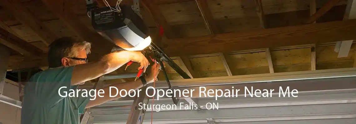 Garage Door Opener Repair Near Me Sturgeon Falls - ON
