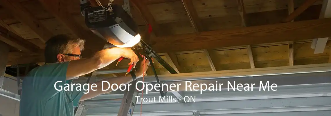 Garage Door Opener Repair Near Me Trout Mills - ON