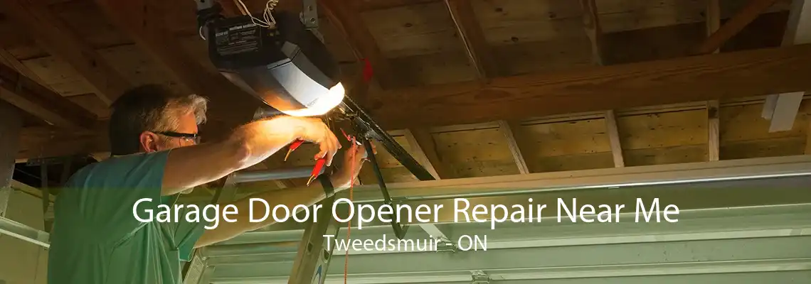 Garage Door Opener Repair Near Me Tweedsmuir - ON
