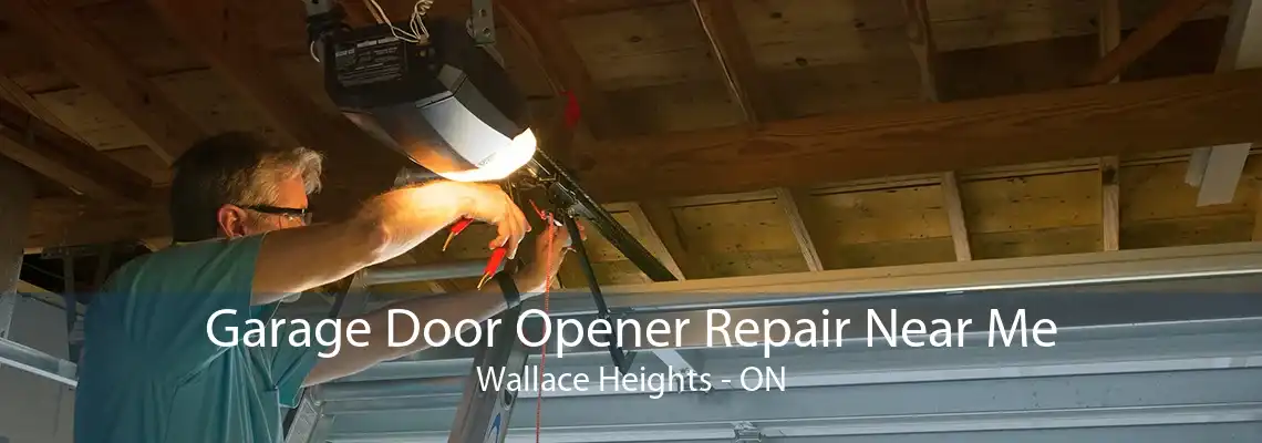 Garage Door Opener Repair Near Me Wallace Heights - ON
