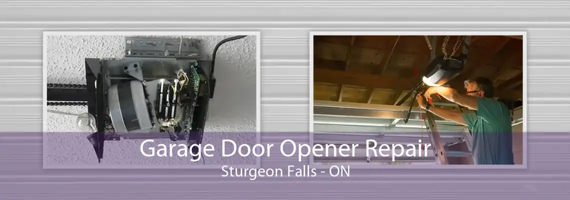 Garage Door Opener Repair Sturgeon Falls - ON