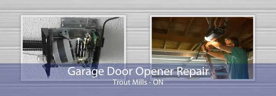 Garage Door Opener Repair Trout Mills - ON