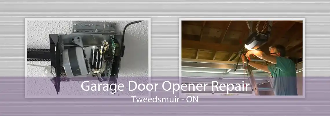 Garage Door Opener Repair Tweedsmuir - ON