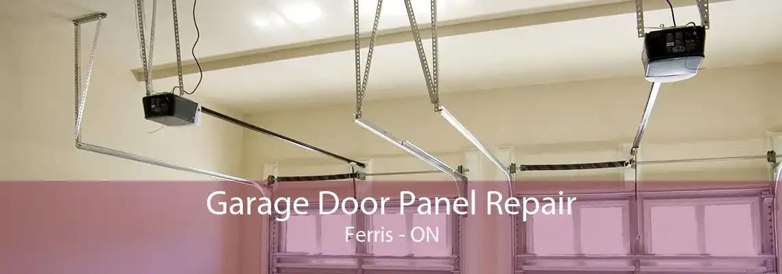 Garage Door Panel Repair Ferris - ON