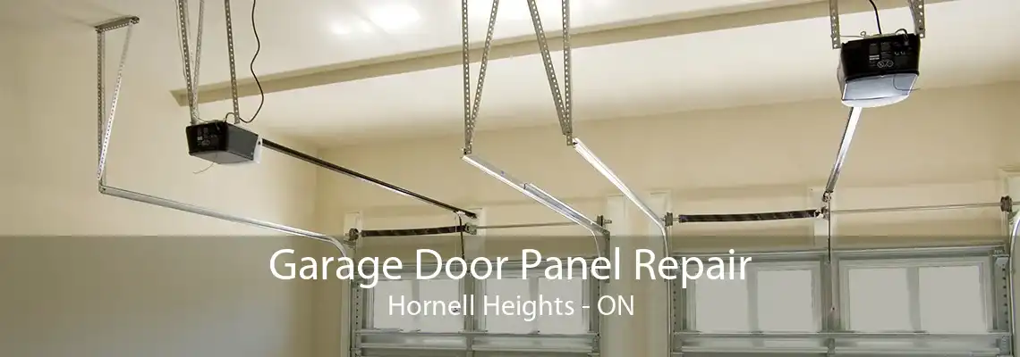 Garage Door Panel Repair Hornell Heights - ON