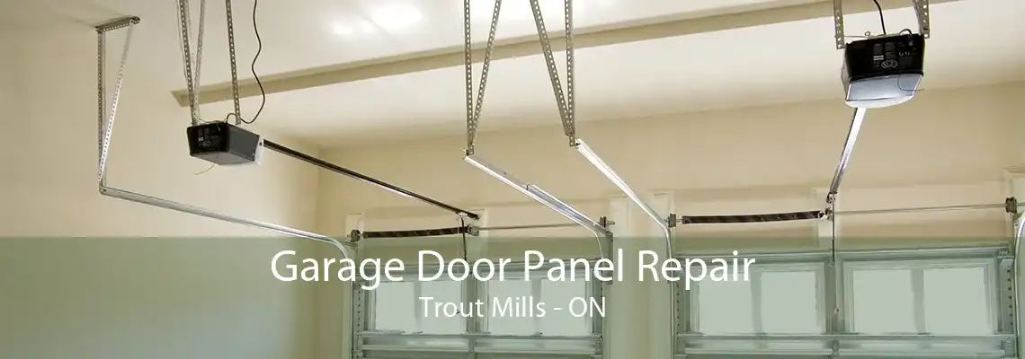 Garage Door Panel Repair Trout Mills - ON