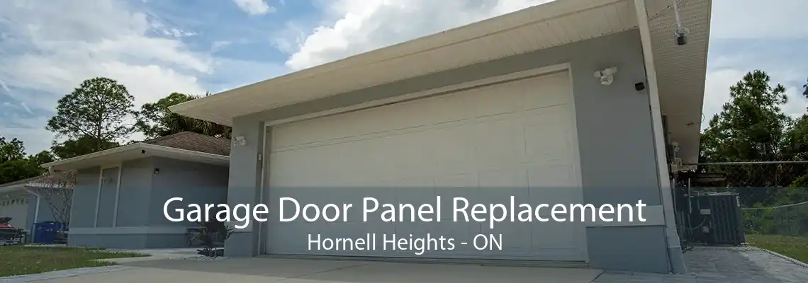 Garage Door Panel Replacement Hornell Heights - ON