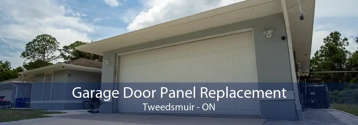 Garage Door Panel Replacement Tweedsmuir - ON