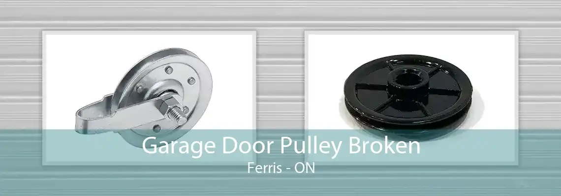 Garage Door Pulley Broken Ferris - ON