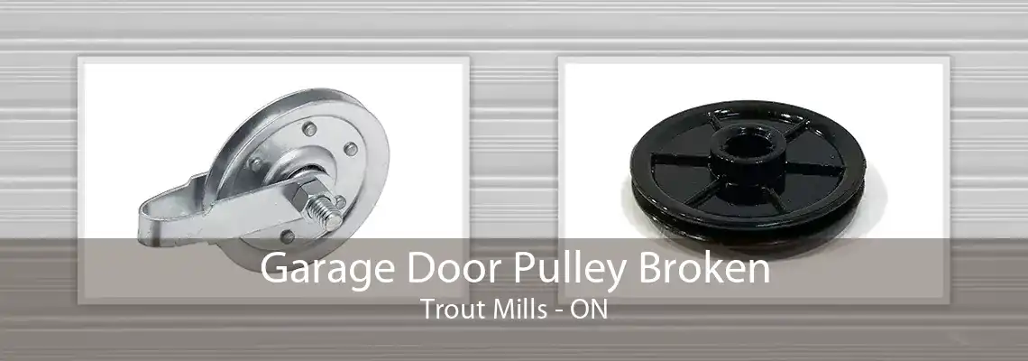 Garage Door Pulley Broken Trout Mills - ON