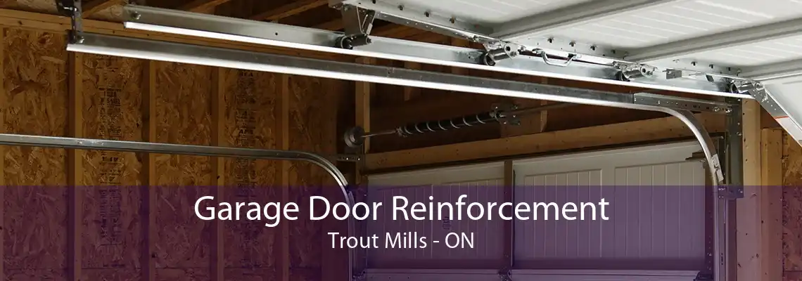 Garage Door Reinforcement Trout Mills - ON