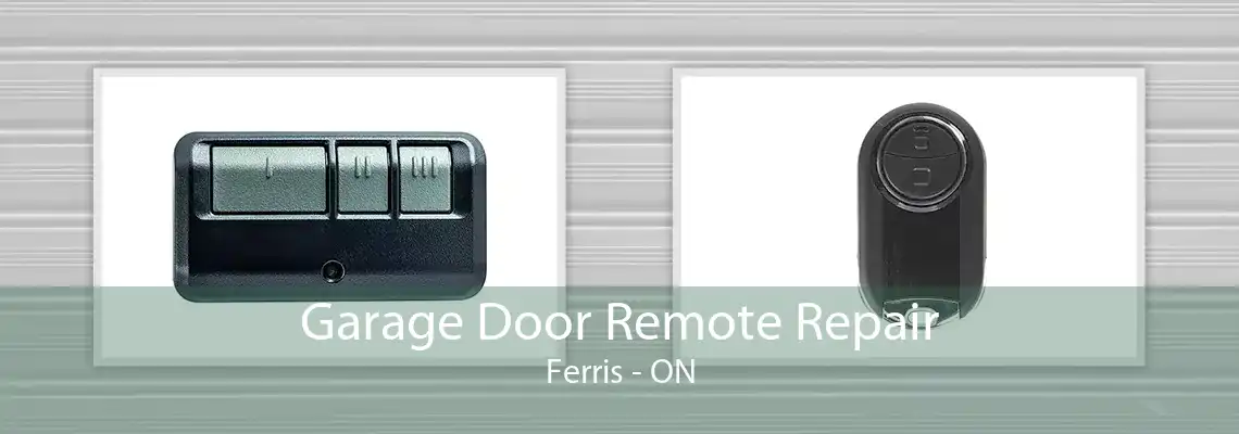 Garage Door Remote Repair Ferris - ON