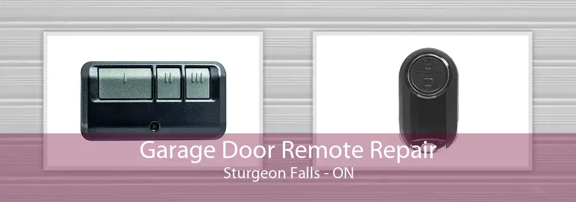 Garage Door Remote Repair Sturgeon Falls - ON