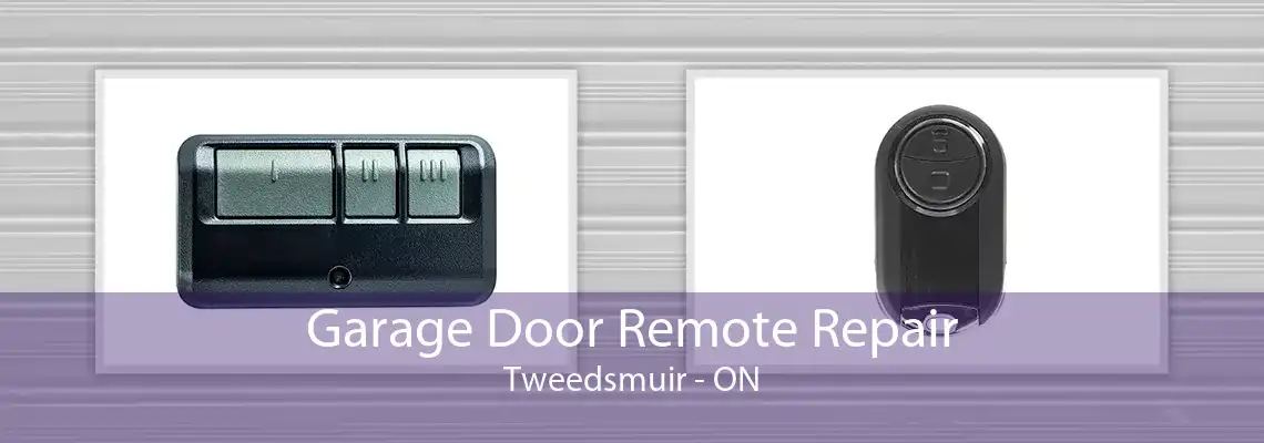 Garage Door Remote Repair Tweedsmuir - ON
