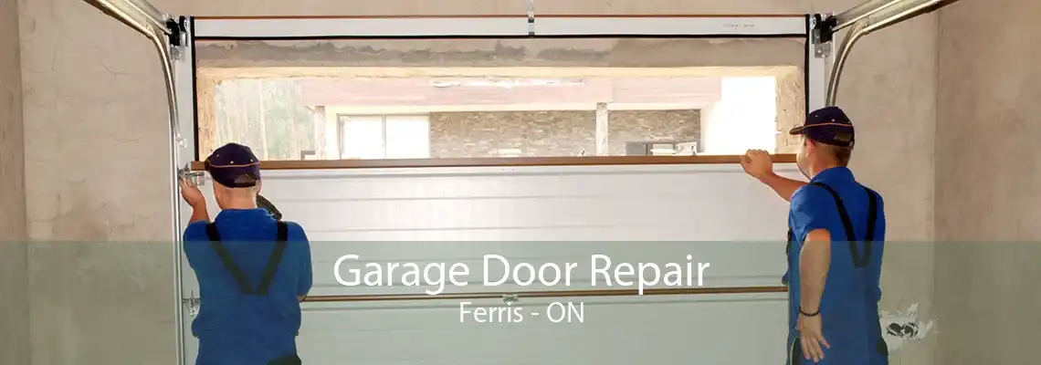 Garage Door Repair Ferris - ON