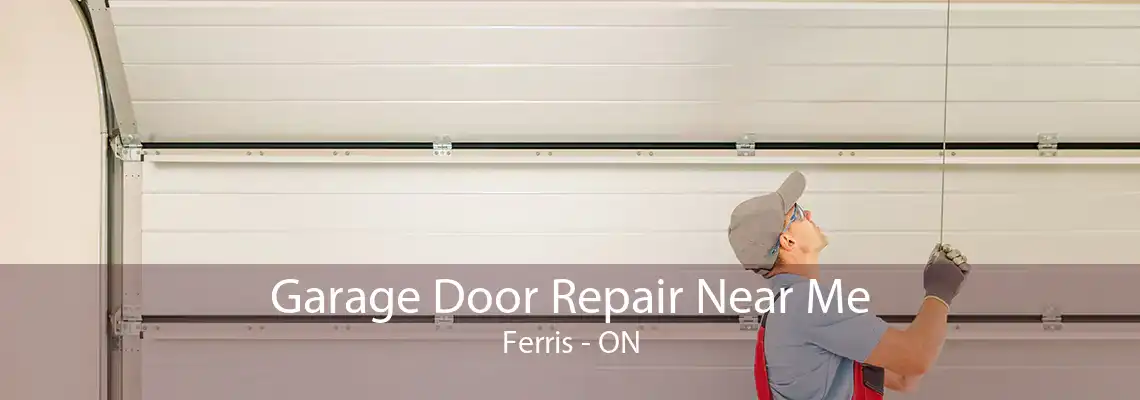 Garage Door Repair Near Me Ferris - ON