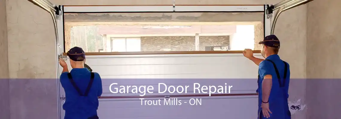 Garage Door Repair Trout Mills - ON