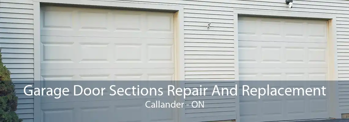 Garage Door Sections Repair And Replacement Callander - ON