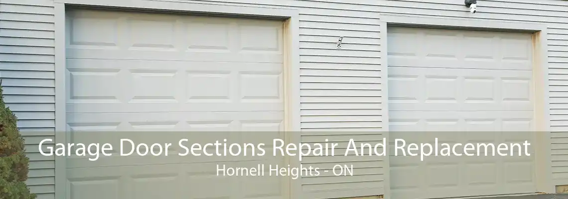 Garage Door Sections Repair And Replacement Hornell Heights - ON