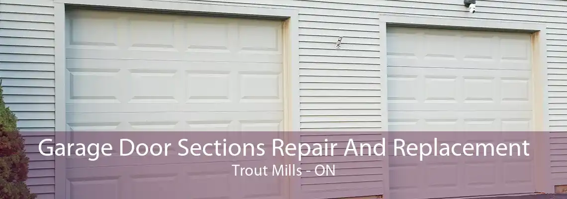 Garage Door Sections Repair And Replacement Trout Mills - ON