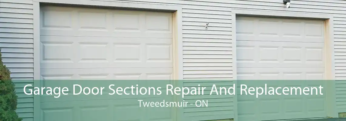 Garage Door Sections Repair And Replacement Tweedsmuir - ON