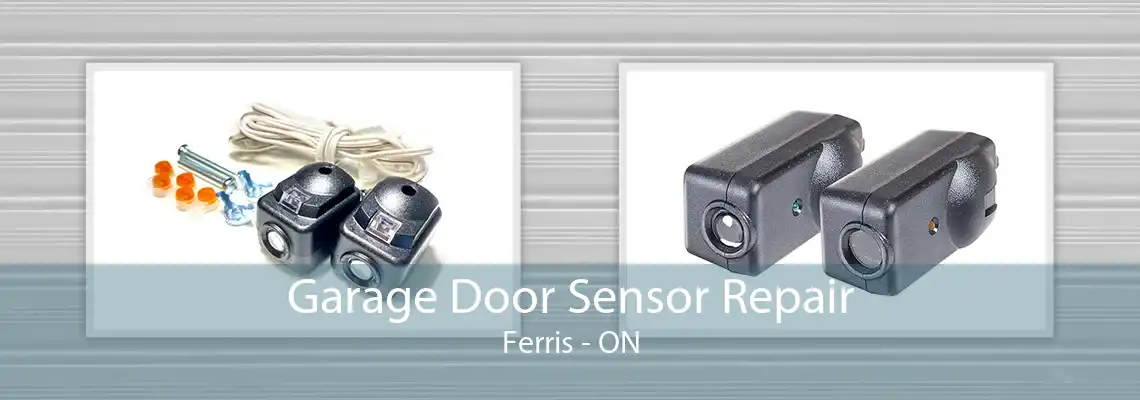 Garage Door Sensor Repair Ferris - ON