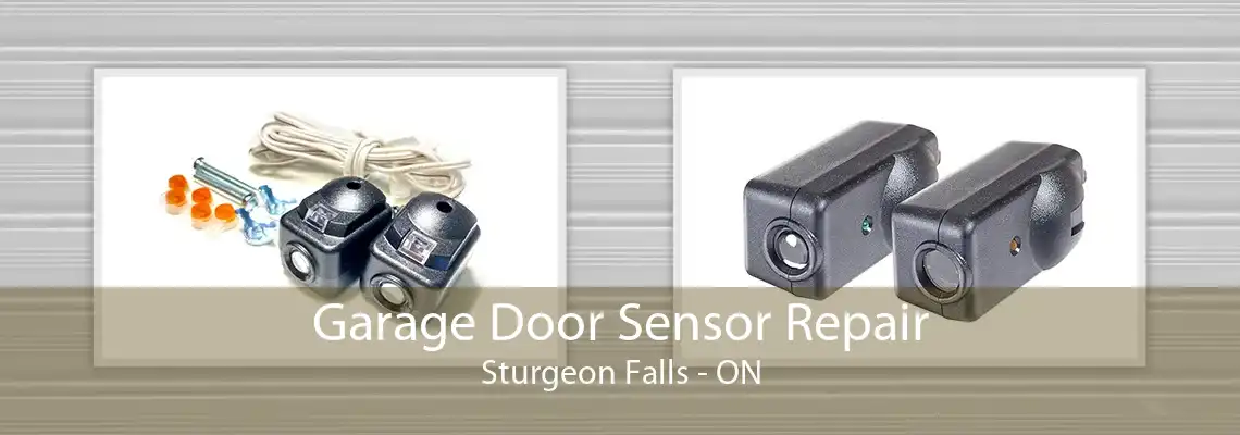 Garage Door Sensor Repair Sturgeon Falls - ON