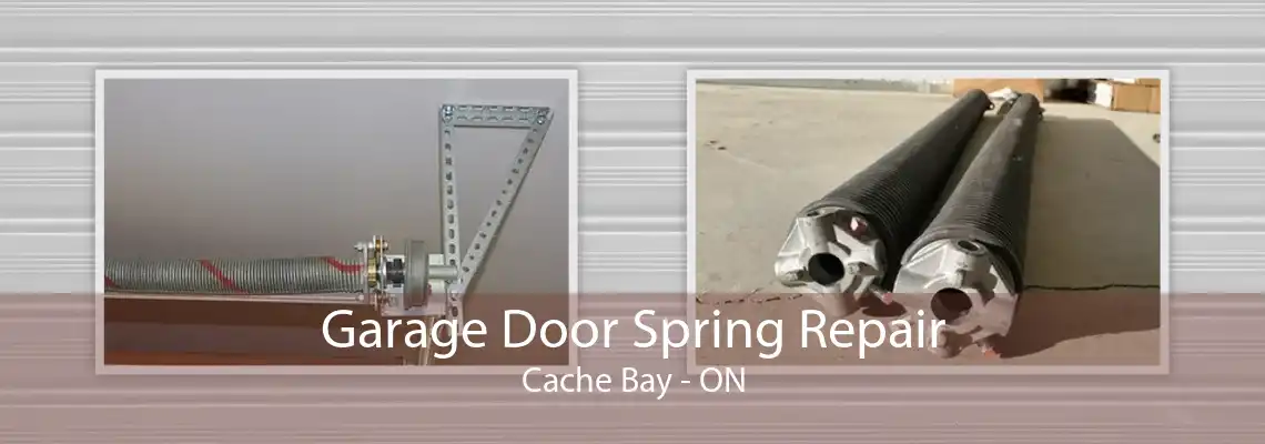 Garage Door Spring Repair Cache Bay - ON