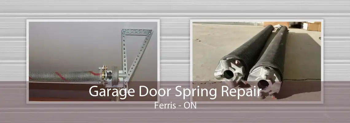 Garage Door Spring Repair Ferris - ON