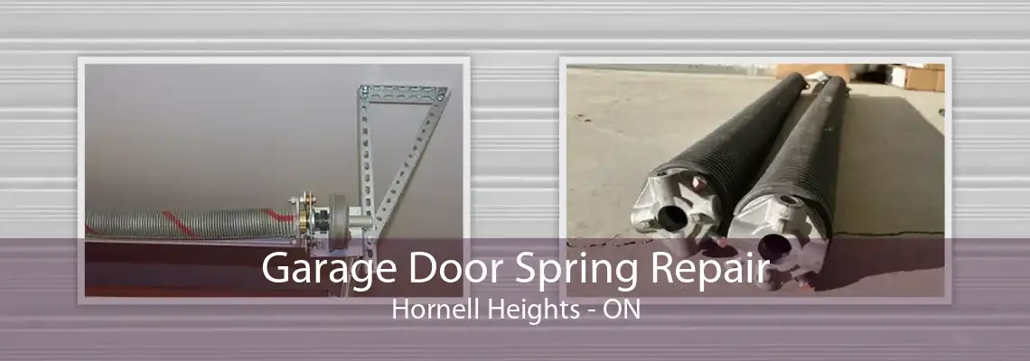 Garage Door Spring Repair Hornell Heights - ON