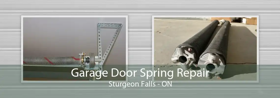 Garage Door Spring Repair Sturgeon Falls - ON
