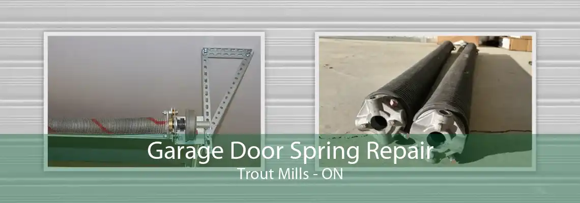 Garage Door Spring Repair Trout Mills - ON