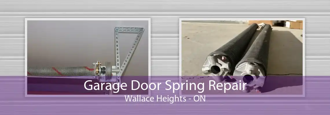 Garage Door Spring Repair Wallace Heights - ON