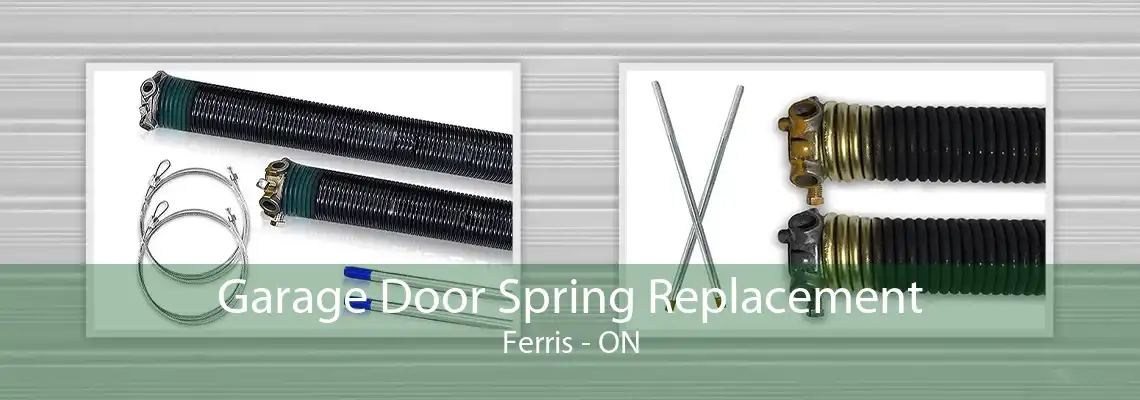 Garage Door Spring Replacement Ferris - ON