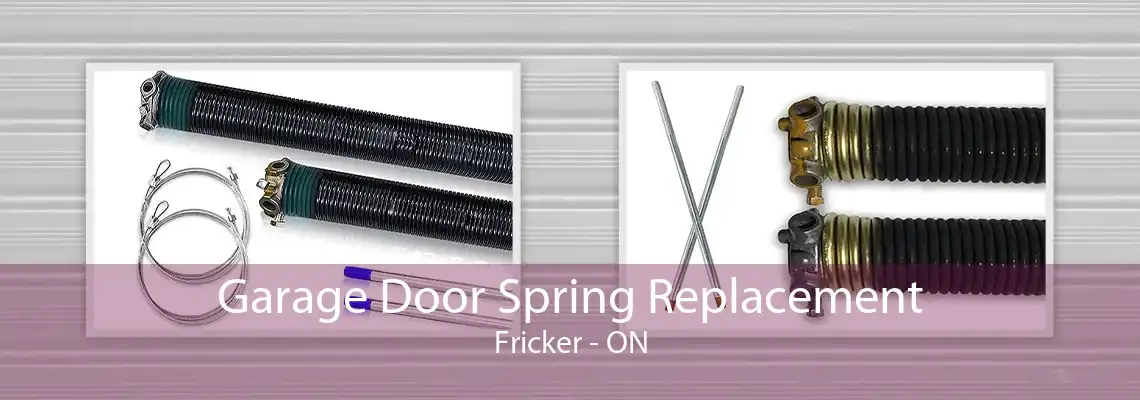 Garage Door Spring Replacement Fricker - ON
