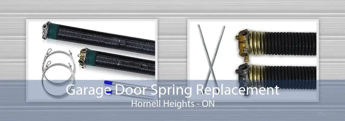 Garage Door Spring Replacement Hornell Heights - ON