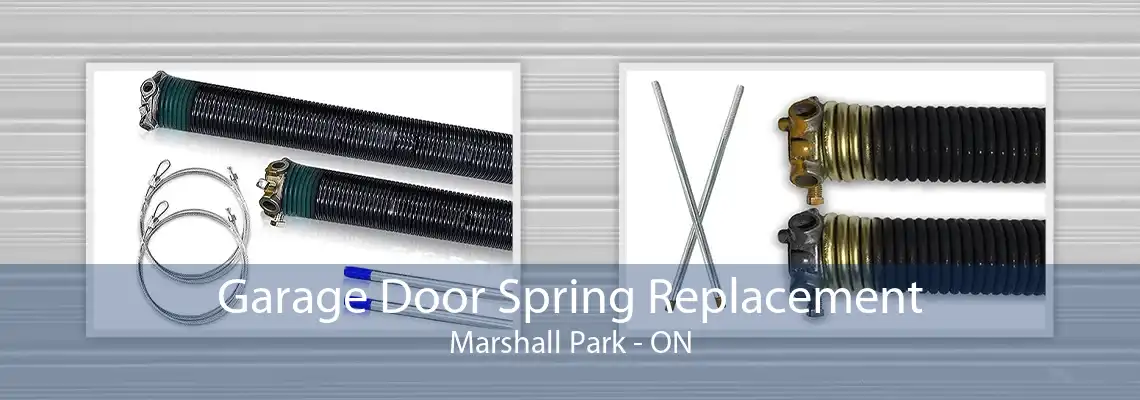 Garage Door Spring Replacement Marshall Park - ON