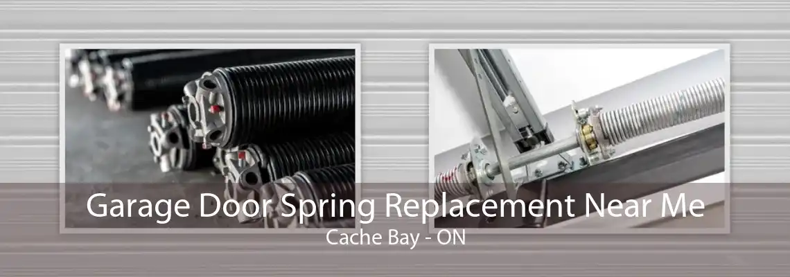 Garage Door Spring Replacement Near Me Cache Bay - ON