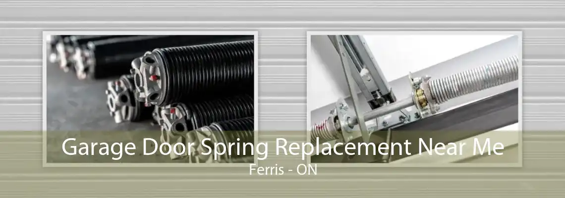 Garage Door Spring Replacement Near Me Ferris - ON