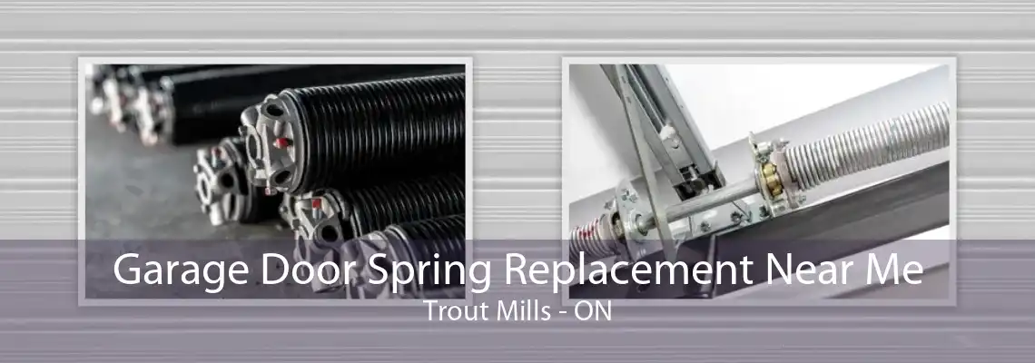 Garage Door Spring Replacement Near Me Trout Mills - ON