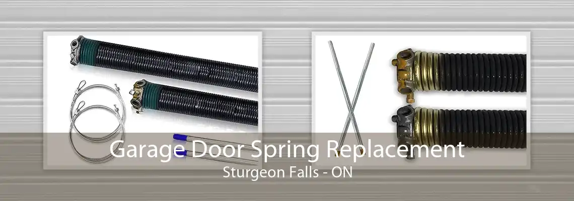 Garage Door Spring Replacement Sturgeon Falls - ON