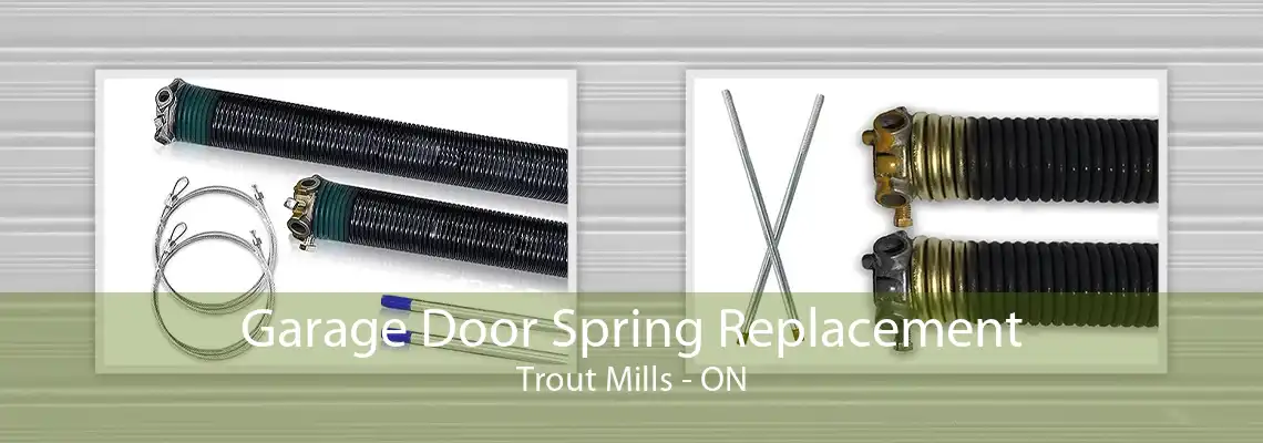 Garage Door Spring Replacement Trout Mills - ON