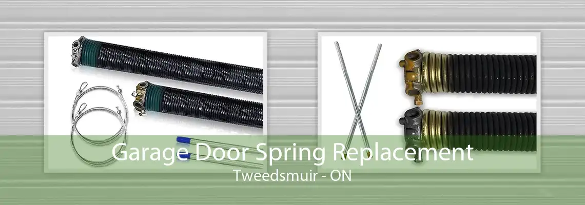 Garage Door Spring Replacement Tweedsmuir - ON