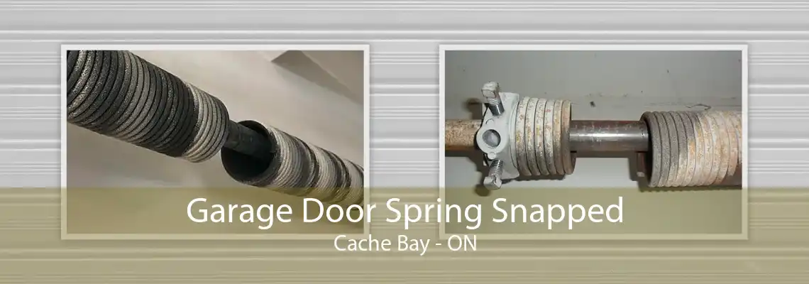 Garage Door Spring Snapped Cache Bay - ON
