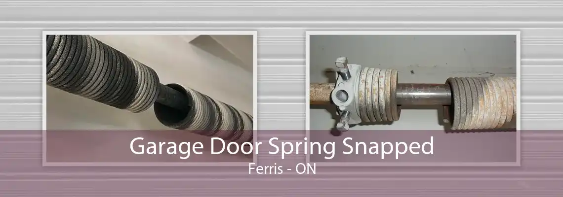 Garage Door Spring Snapped Ferris - ON