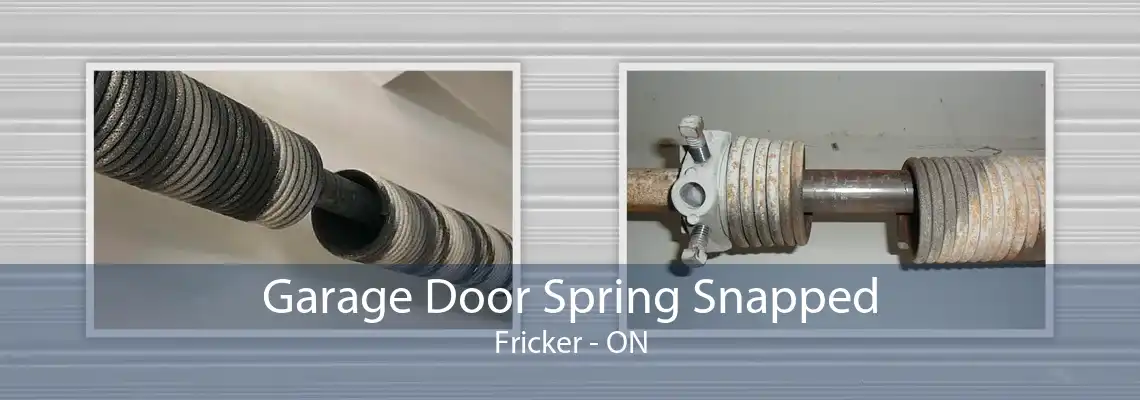 Garage Door Spring Snapped Fricker - ON