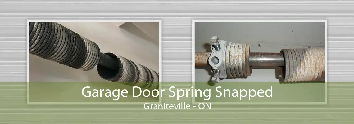 Garage Door Spring Snapped Graniteville - ON