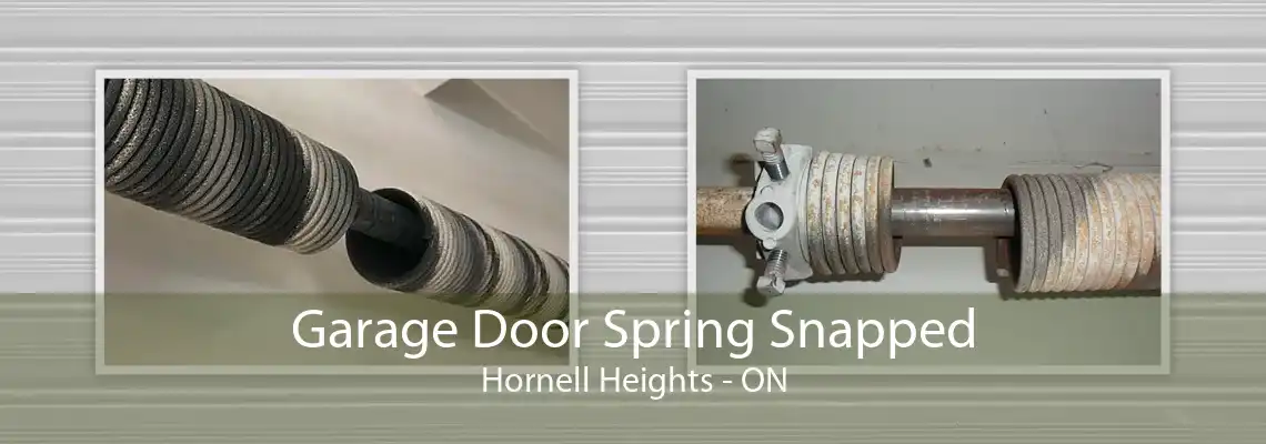 Garage Door Spring Snapped Hornell Heights - ON