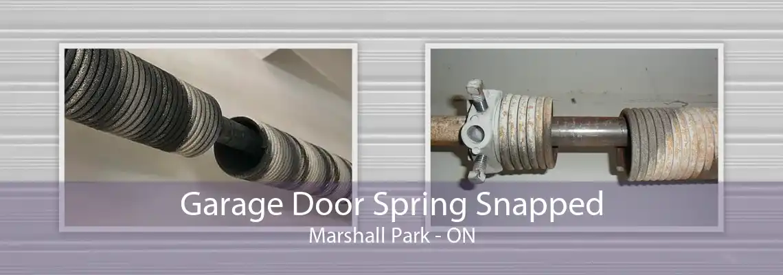 Garage Door Spring Snapped Marshall Park - ON